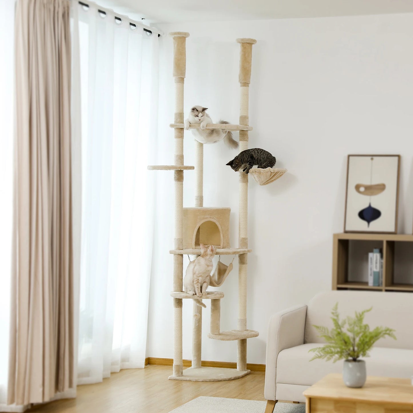 Du Sol au Plafond Arbre à Chat Réglable