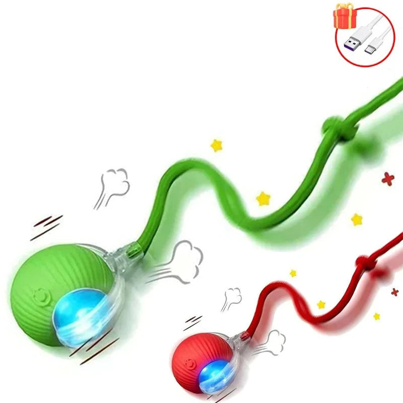 Balle Interactive pour Chat