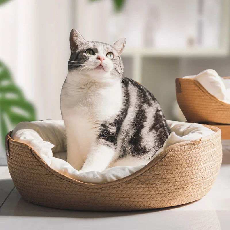 Panier 4 Saisons pour Chat d'Intérieur