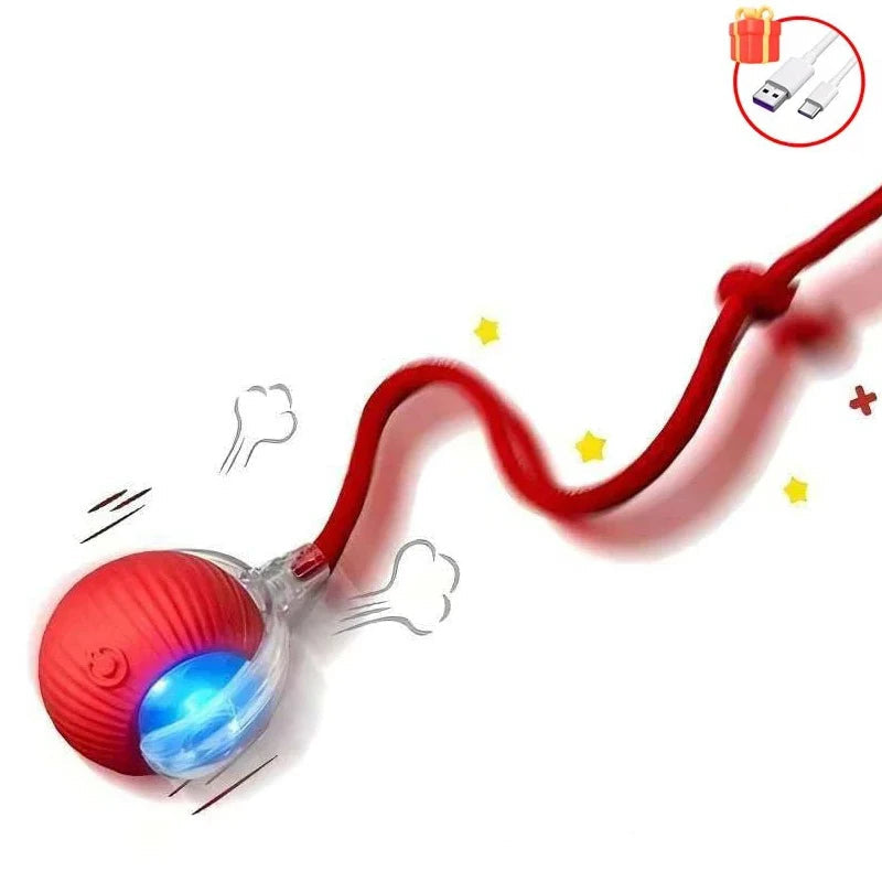 Balle Interactive pour Chat