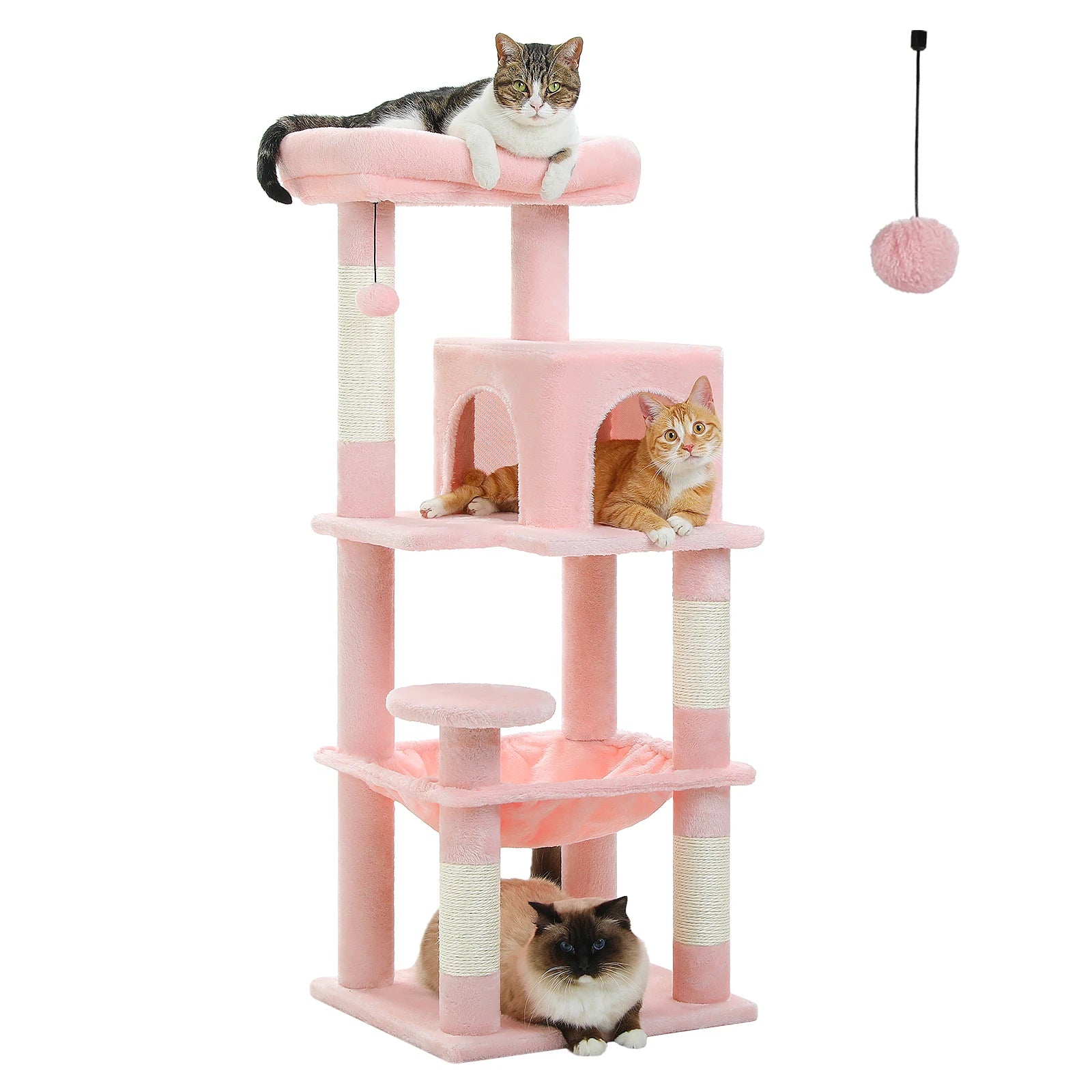 Tour à Chat 5 Niveaux