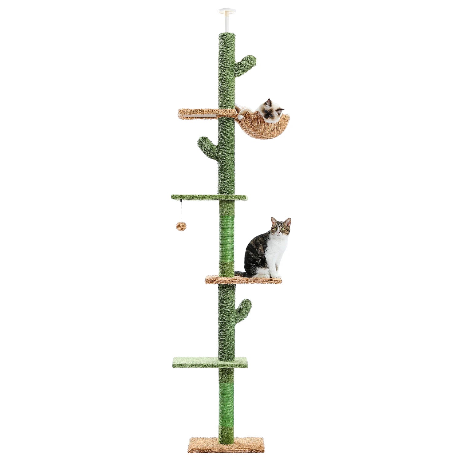 Tour pour Chat Fixation Plafond